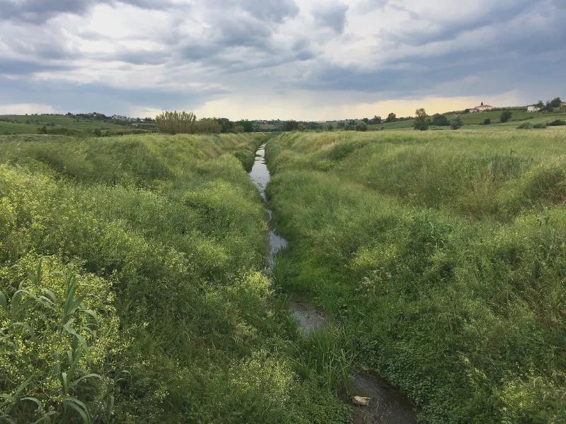 Silent Stream Under Gathering Skies
