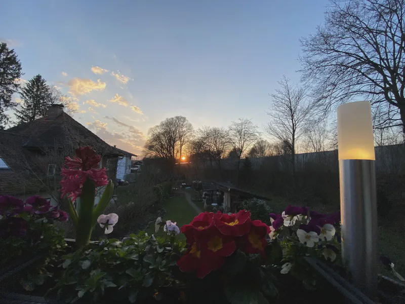 Dawn’s Gentle Glow