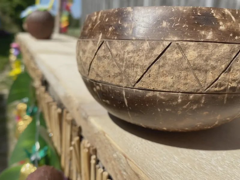 Sunlit Coconut Bowl