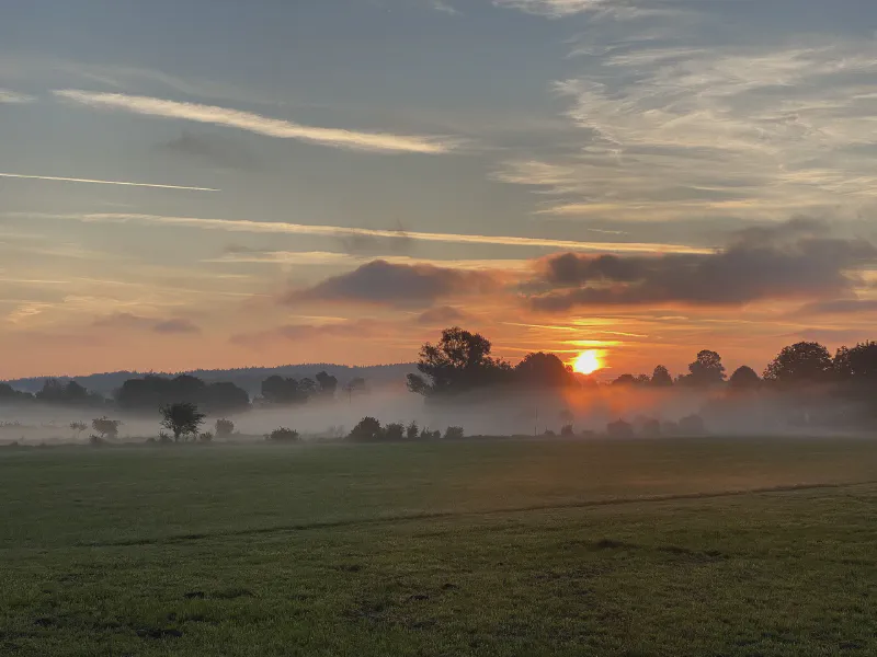 Misty Dawn Awakening