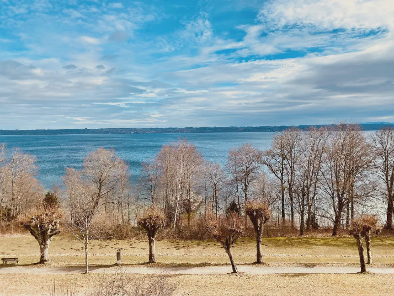 Whispering Shorelines