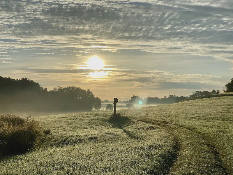 Misty Dawn Awakening