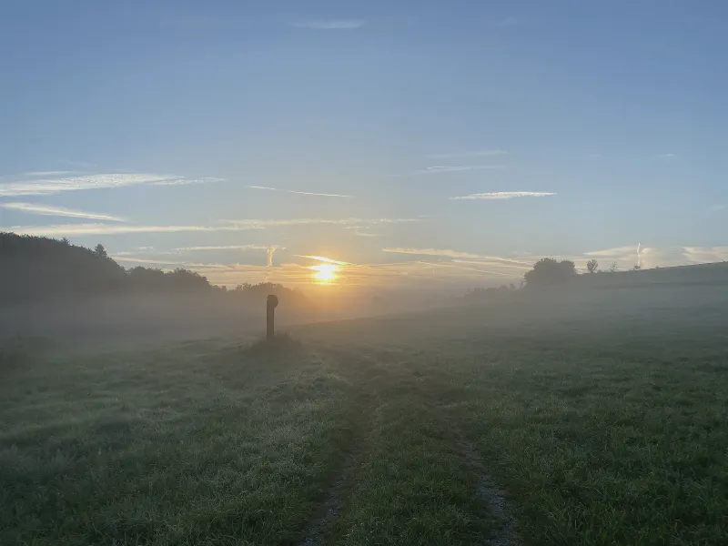 Misty Dawn Awakening