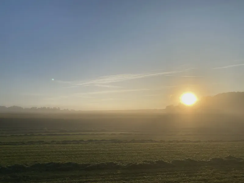 Dawn Through the Mist