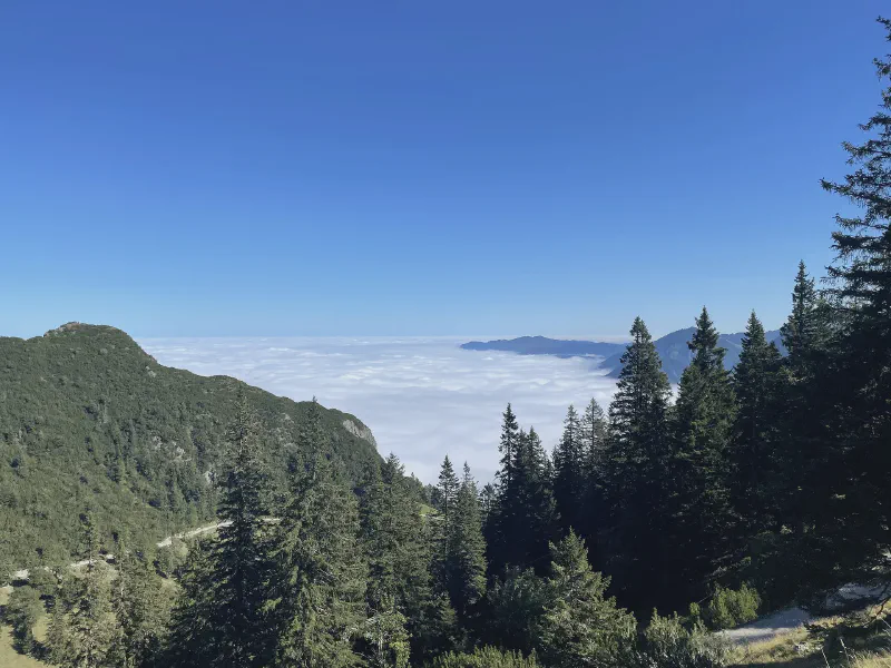 Above the Clouds