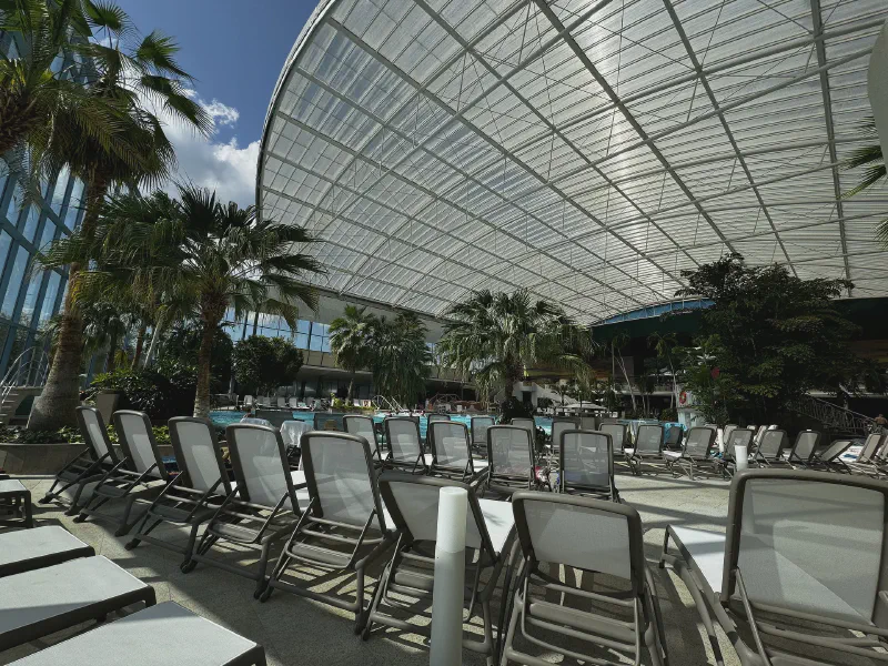 Tropical Oasis Under Glass