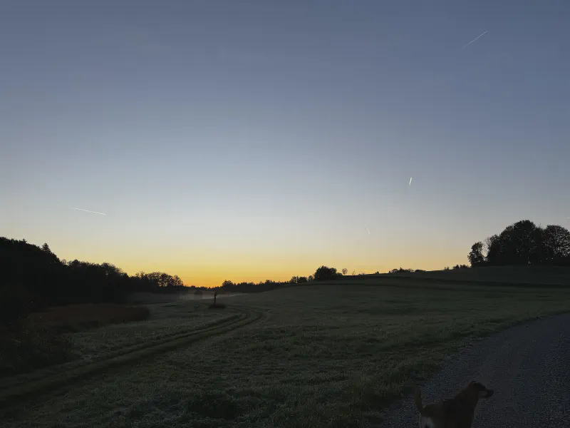 Dawn’s Silent Trails