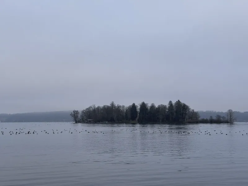 Silent Island in the Mist